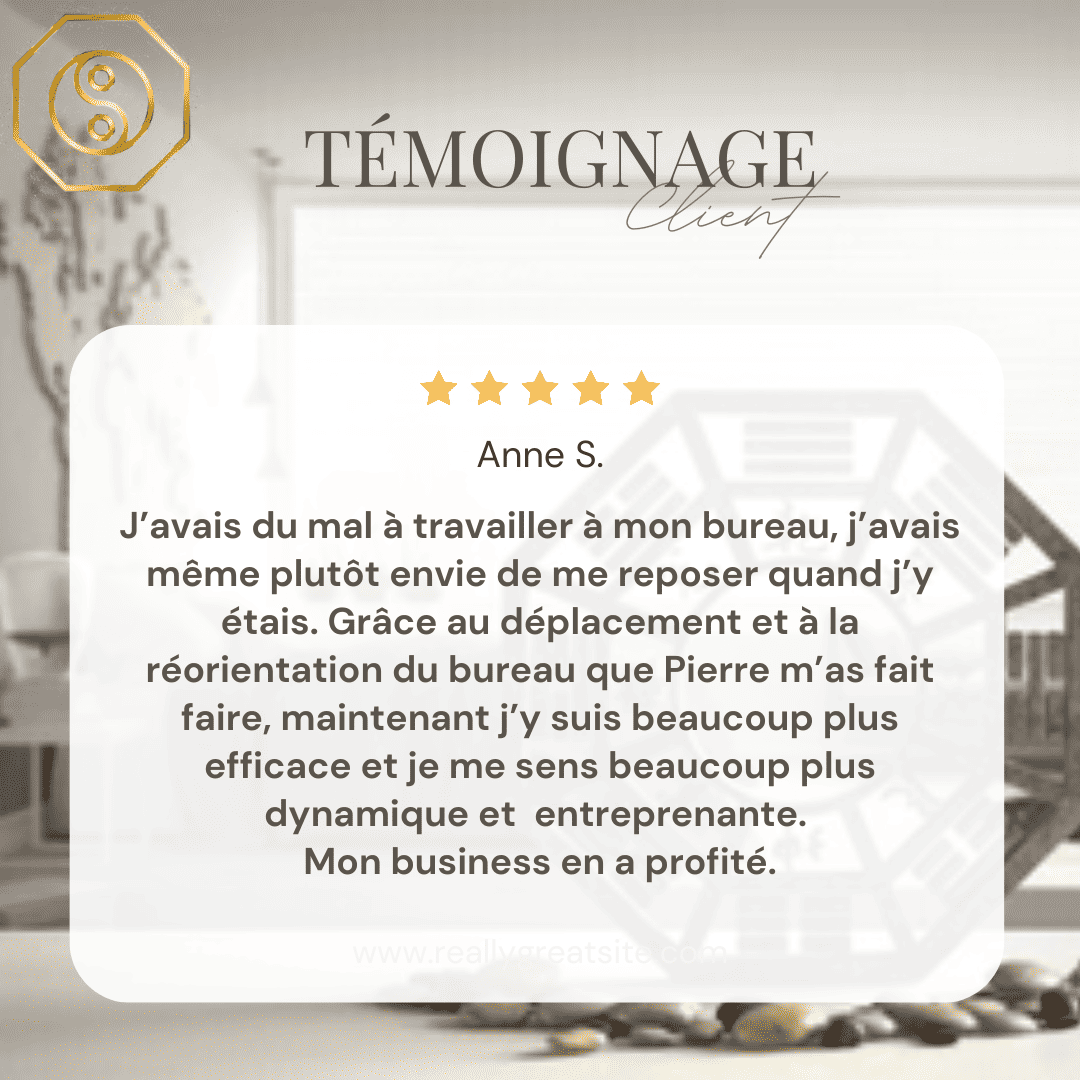 Formation Feng Shui Certifiante - Temoignage Anne S